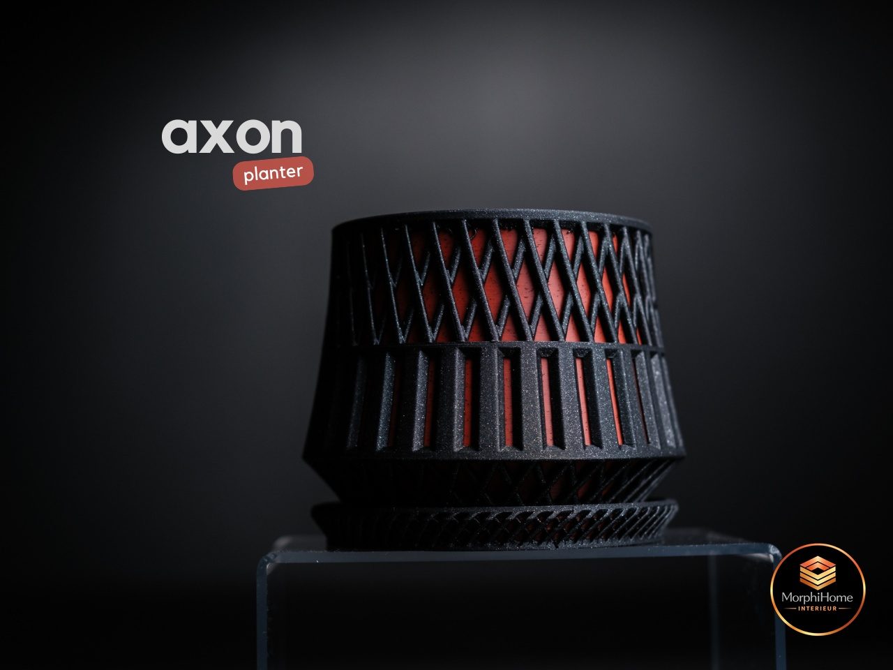 Axon Planter