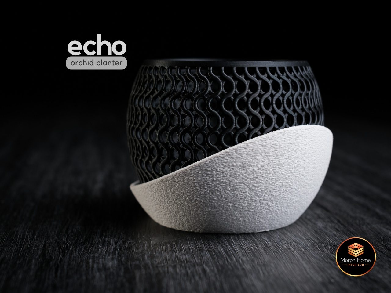 Echo Orchid Planter