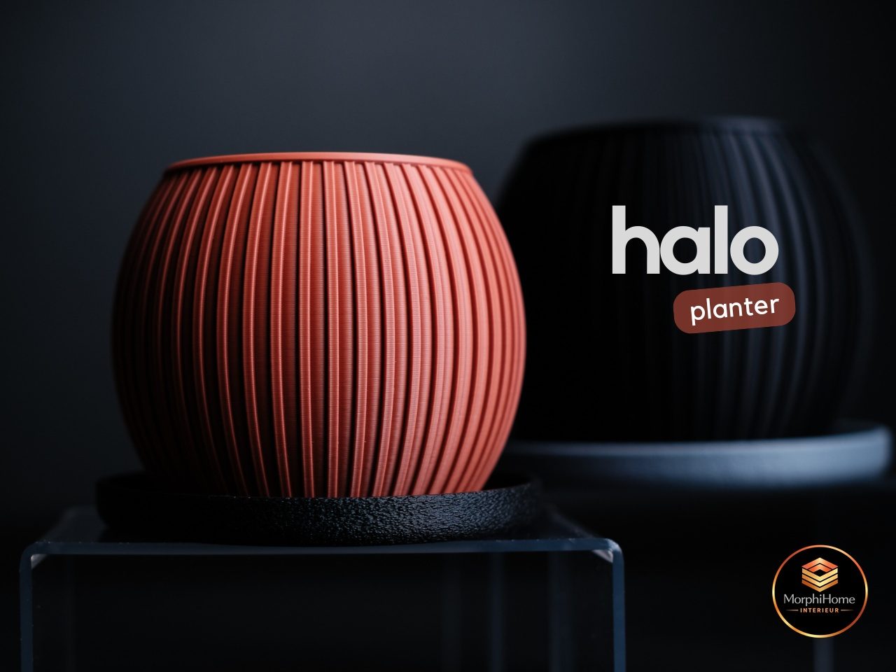 Halo Planter