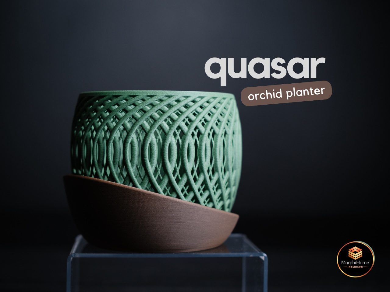 Quasar Orchid Planter