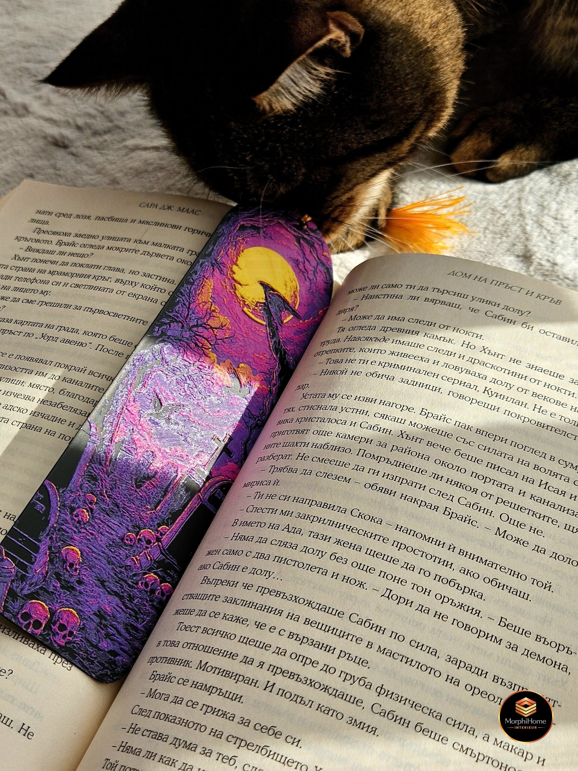 Ravenwatch Begraafplaats, boekenlegger van MorphiHome