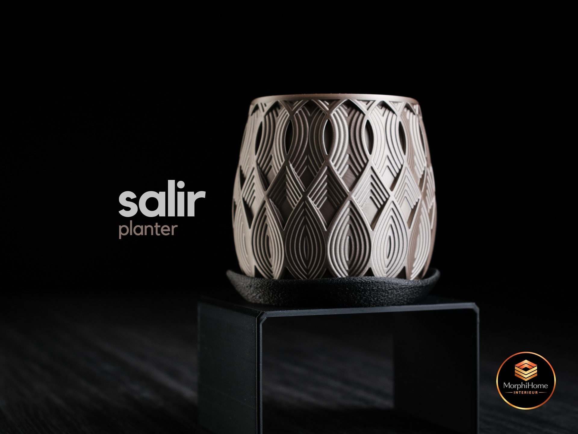 Salir Planter