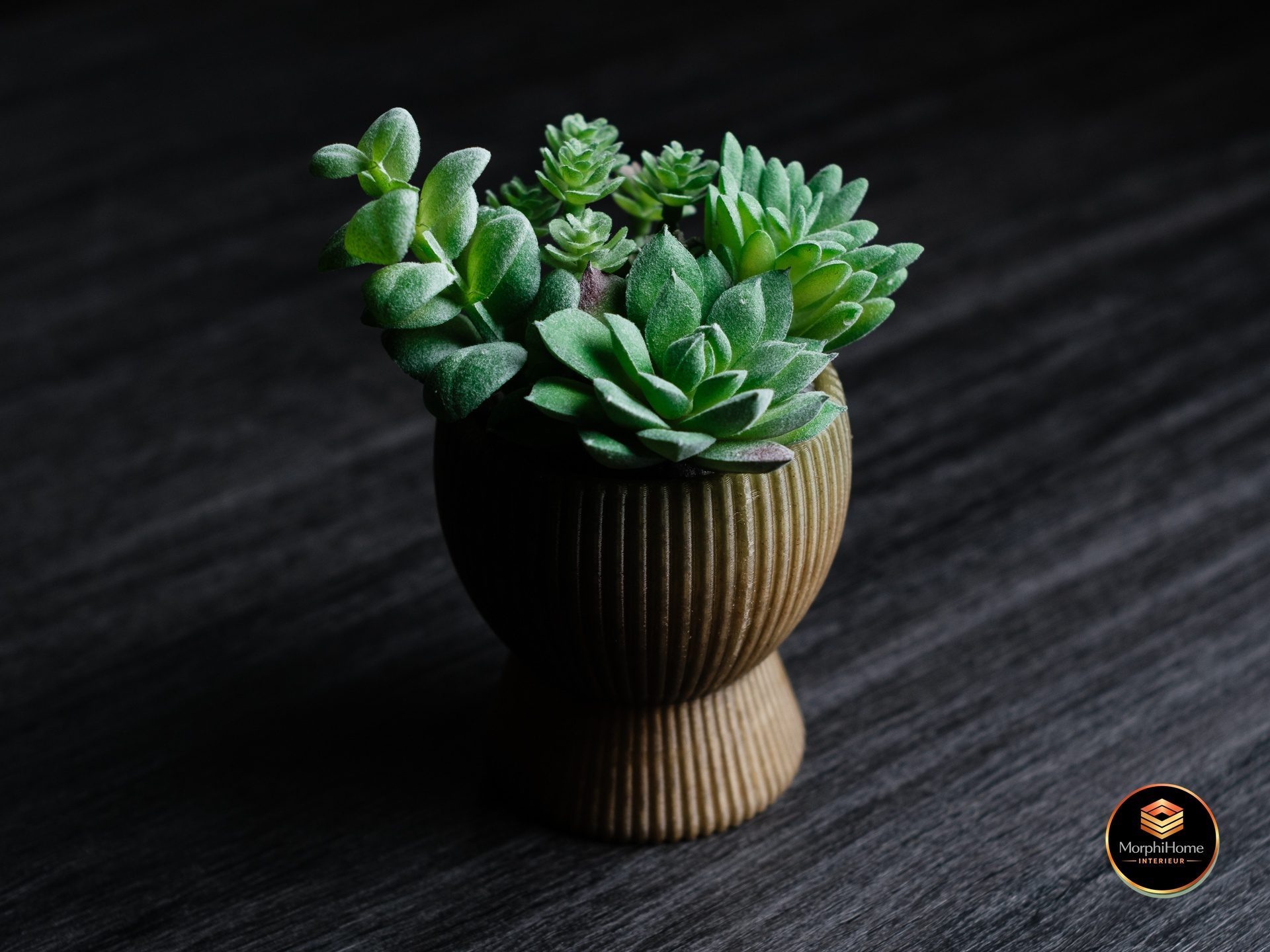 Tundra Planter, bloempot van MorphiHome